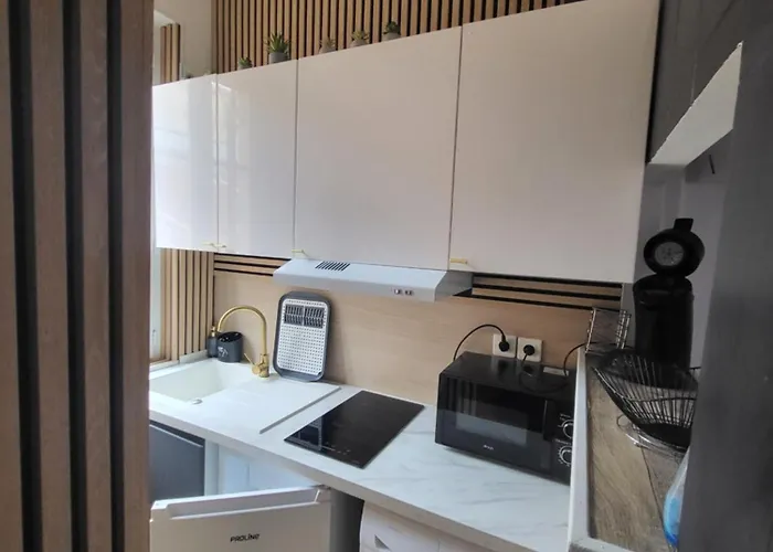 Cosy Mezzanine 2-4p Carre D'or Apartman *