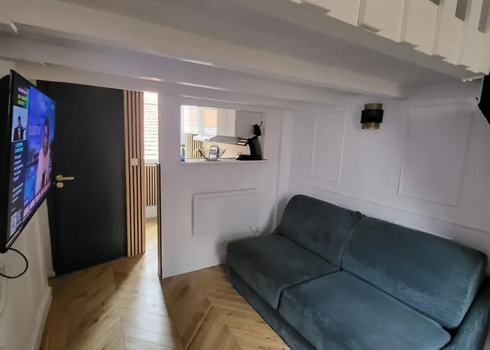 Cosy Mezzanine 2-4p Carre D'or Apartman